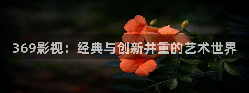 九七神马影院午夜片