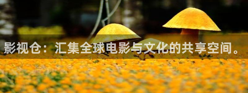 神马影院你懂的