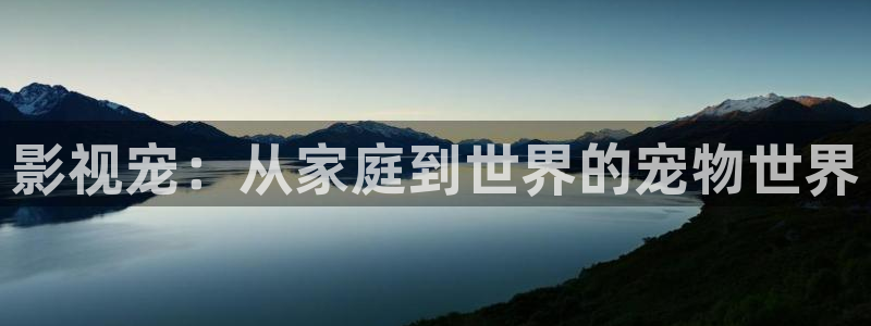 三级黄色片神马影院