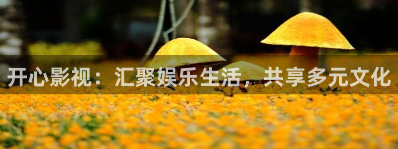 神马影院播放全职高手