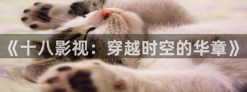 94神马电影午夜频道