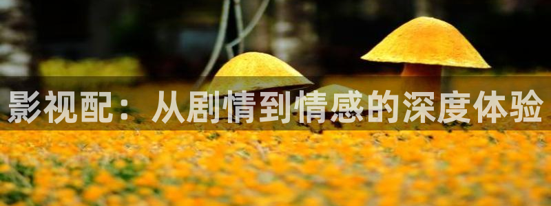 神马麻豆精品影院：影视配：从剧情到情感的深度体验