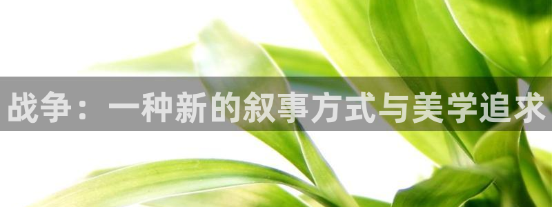 午夜天堂神马影院：战争：一种新的叙事方式与美学追求